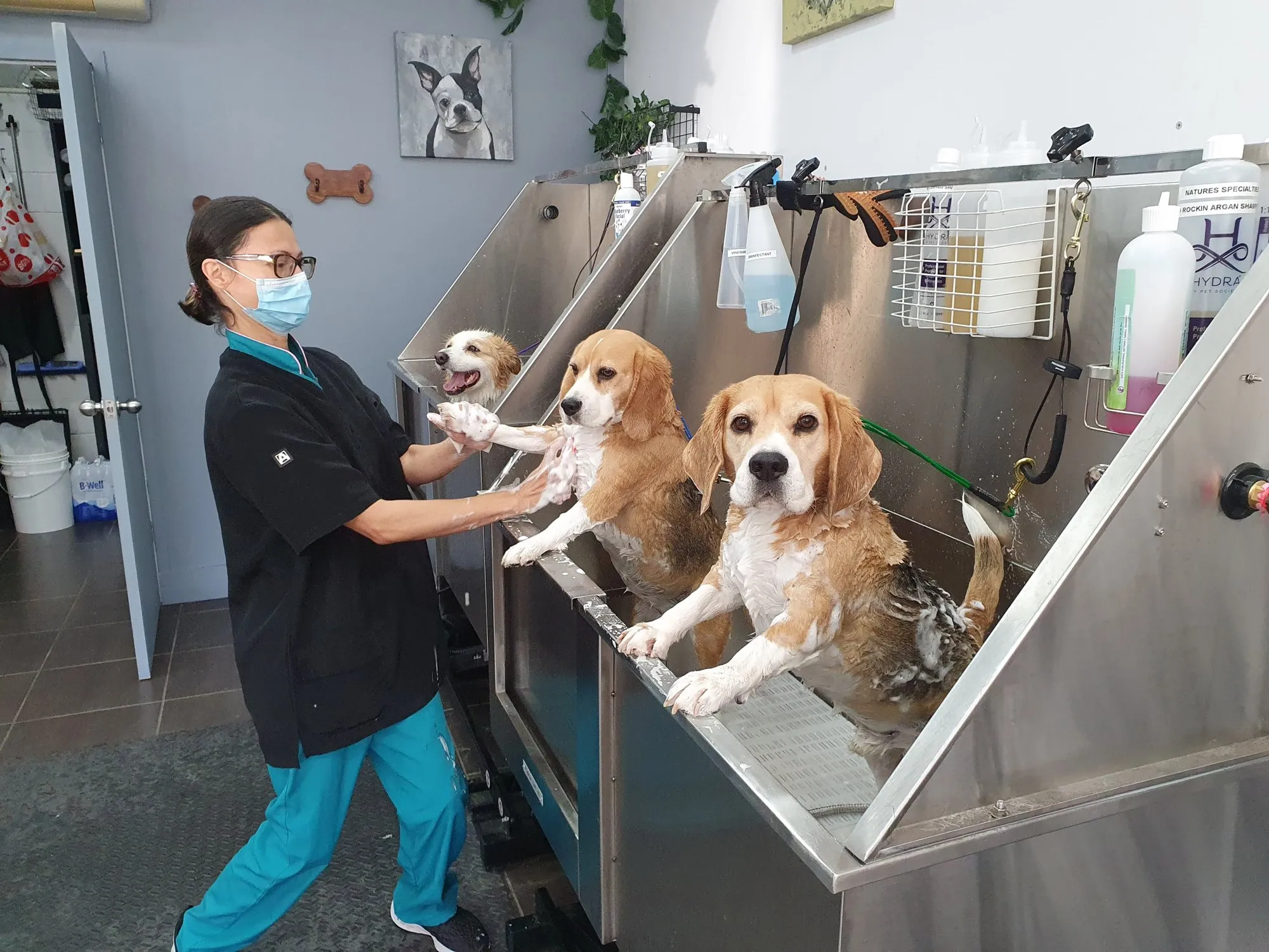 Spa Bath at PupperCuts